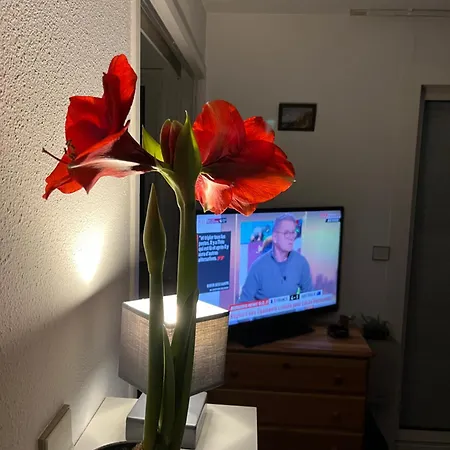 Apartmán 34300 Le Cap D'agde *